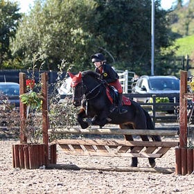 Arena Eventing proves popular at Knockagh View