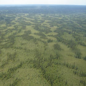 Suncor admits it doesn't have concrete plans to protect McClelland Lake Wetland Complex