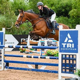 Ponies take up the challenge at Banbridge Charity Horse and Pony Show
