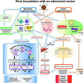 AstraZeneca Endotoxin Test Meaningless