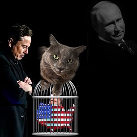 Things Musk (and Trump) Did... Day 61 | Blog#42