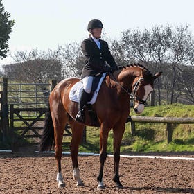 Winter Dressage winners declared at Laurel View