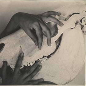 Georgia O'Keeffe: Where Art History Meets Mental Health