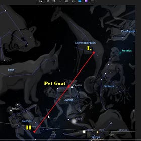 A second look at I Pet Goat II messaging through the Constellations