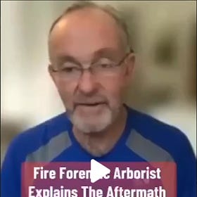 Fire Forensic Expert: Maui and California Fires Were INTENTIONALLY Ignited by Direct Energy Weapons