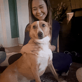 dog massage