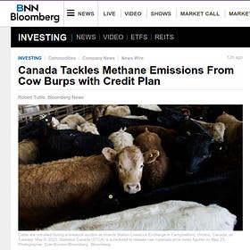 NOT BABYLON BEE: Canada Tackles Methane Emissions From COW BURPS with Credit Plan