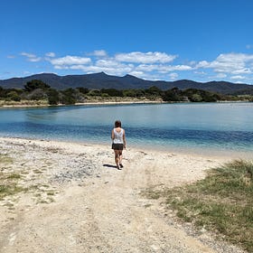 Tasmanian Rhapsody