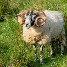 How did Scotland’s land become so denuded?