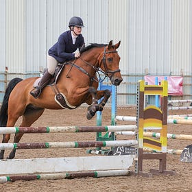 SJI horses on form at Connell Hill