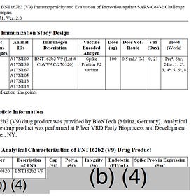 Extreme Toxicity of Endotoxins in Pfizer Jabs