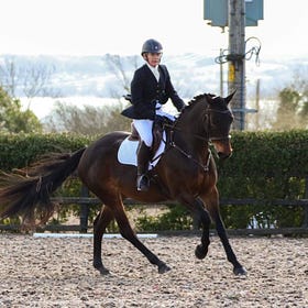 Success for N.I. Riding Clubs at Dressage Championships