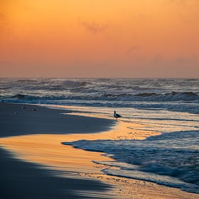 Florida: A Beach Study