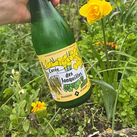 Spring bulbs part II: the good, the bad, the ugly