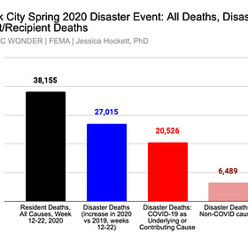 FEMA COVID-19 Funeral Assistance Data Fails to Substantiate the New York City Death Spike 
