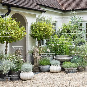Get the look: Courtyard Garden Part One