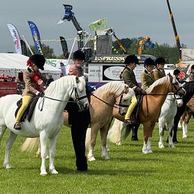 Balmoral Show attracts high quality entry