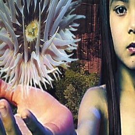 The Future Sound of London's 'Lifeforms' at 30: A Timeless Sonic Odyssey