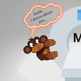PTSD Monkey Gets an MRI