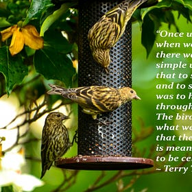 Quote of the Day: Terry Tempest Williams