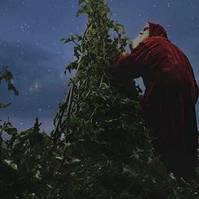 The Seeds of Magic