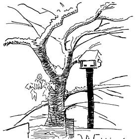 Mary Effie Lee Newsome - 5 Short Poems & Illustrations (1921-1926)