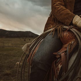 WIP - A Western Part II