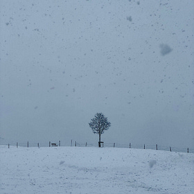 Impressions Of Winter.