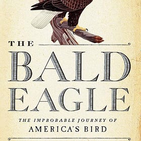 The Tragedy and Redemption of Bald Eagles