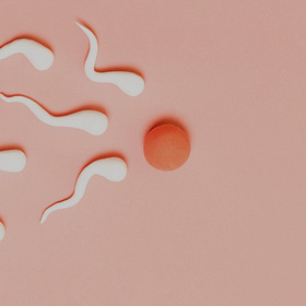 Male Fertility - It takes two to tango 