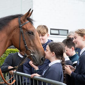Downpatrick Racecourse welcomes 'Racing Juniors'