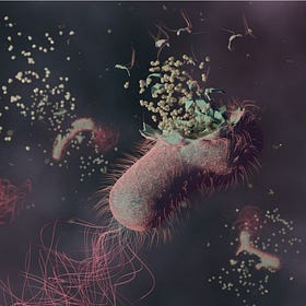 Bacterial DNA a major worry in Jabs