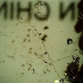 What's that falling from the sky!? Is it a bird? Is it a plane? No, it's nanoparticles!