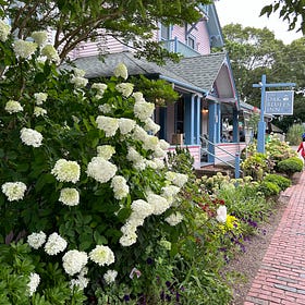 🗺️ The Ultimate Beginner’s Guide to Martha’s Vineyard (2025 Edition)