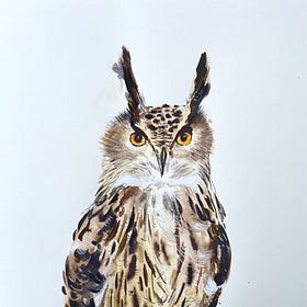 Drawing Timelapse: European Eagle Owl
