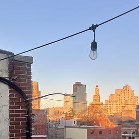 Seed Starting in a City Apartment