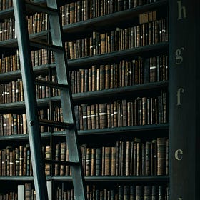 The Libraries That Made Us the Writers We Are