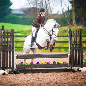 Competitors on point at Ardnacashel Working Hunter