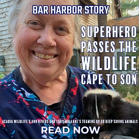 Superhero Passes The Wildlife Cape To Son