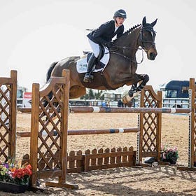 Spring Horse show success at The Meadows
