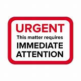 URGENT! Look Everywhere Else But Here! Today, Is The Twelfth Meeting Of The Intergovernmental Negotiating Body (INB) For A WHO Instrument On Pandemic Prevention, Preparedness and Response 