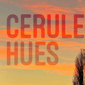 How to Read and Fall in Love with Poetry
