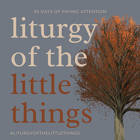 Liturgy of the Little Things
