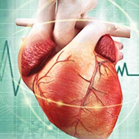 Endotoxin in Pfizer Jabs causes Heart Damage