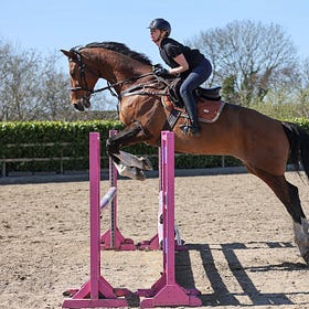 Competitors shine in the sun Connell Hill Training Show
