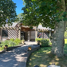 🖌️ Guide to Adult Learning Classes + Workshops on Martha's Vineyard 