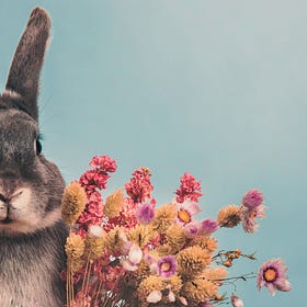 Down the Rabbit Hole