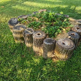 Log Raised Bed