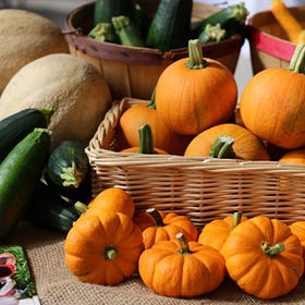 Pumpkins on our Potluck Plates