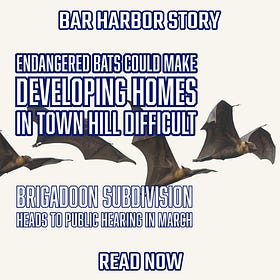Endangered Bats Could Make Developing Homes in Town Hill Difficult